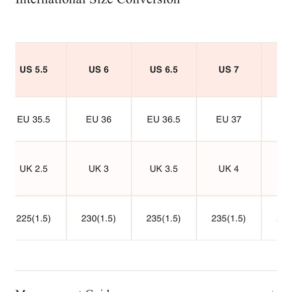 NWT Free People Karlie Buckle Clog - Picture 11 of 11